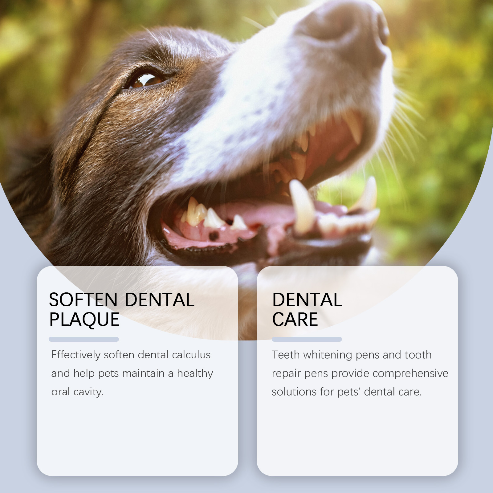 Set di penne sbiancanti per de - Teeth Whitening Pens recensione e prezzo